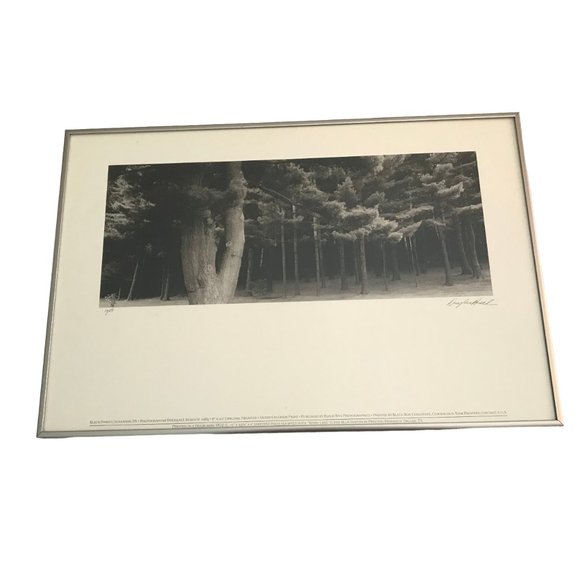 Douglas Busch Original Phograph Signed Negative Collotype Print - Picture 5 of 10